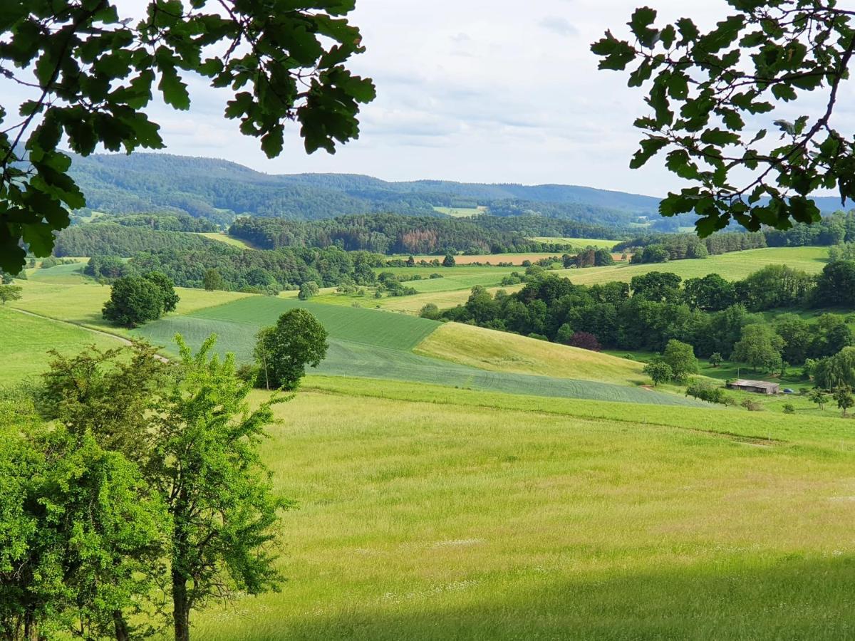 Odenwald-Lodge Mit Infrarotsauna Und E-Ladestation "Haus Purpur" Reichelsheim 外观 照片