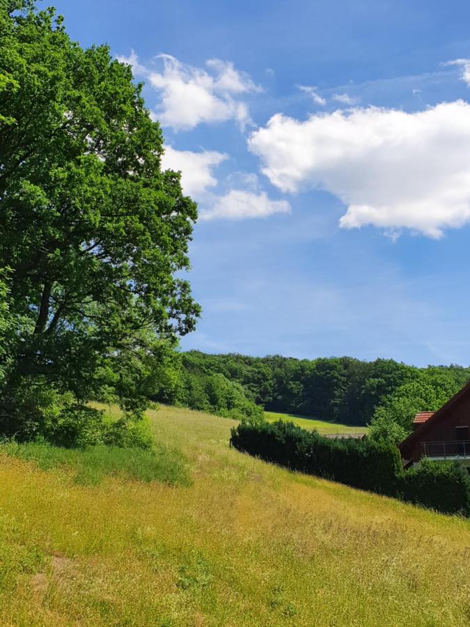 Odenwald-Lodge Mit Infrarotsauna Und E-Ladestation "Haus Purpur" Reichelsheim 外观 照片