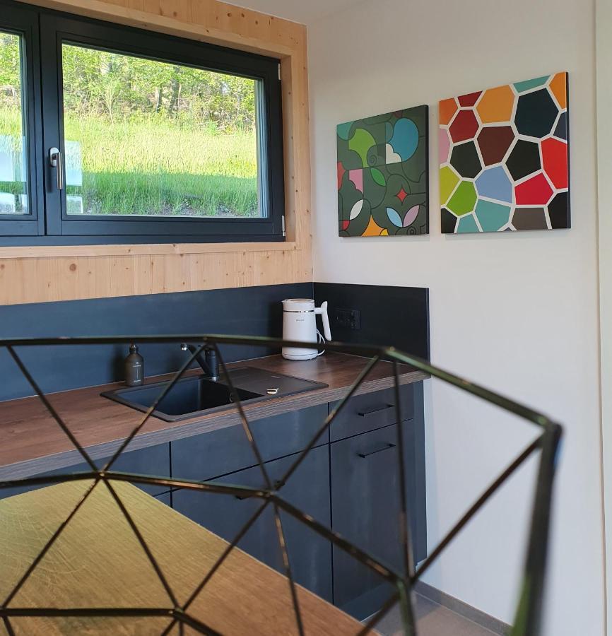 Odenwald-Lodge Mit Infrarotsauna Und E-Ladestation "Haus Purpur" Reichelsheim 外观 照片