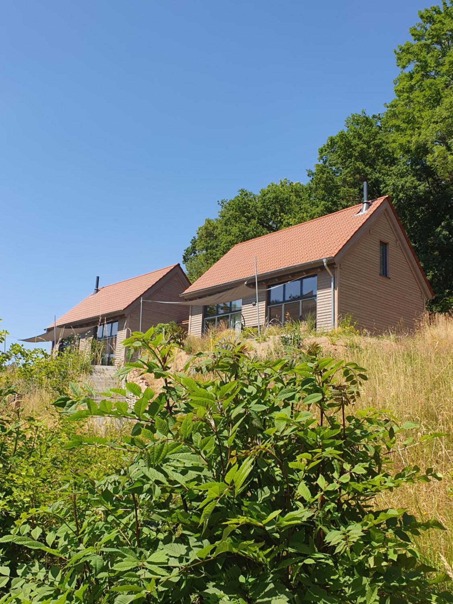 Odenwald-Lodge Mit Infrarotsauna Und E-Ladestation "Haus Purpur" Reichelsheim 外观 照片