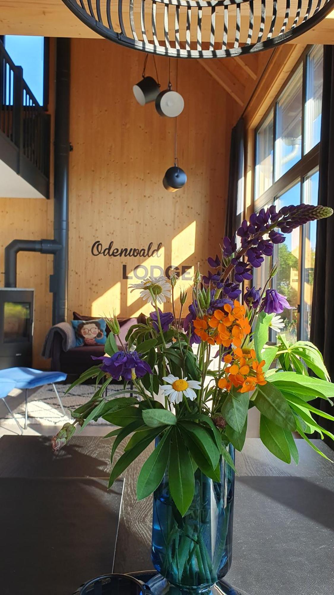 Odenwald-Lodge Mit Infrarotsauna Und E-Ladestation "Haus Purpur" Reichelsheim 外观 照片