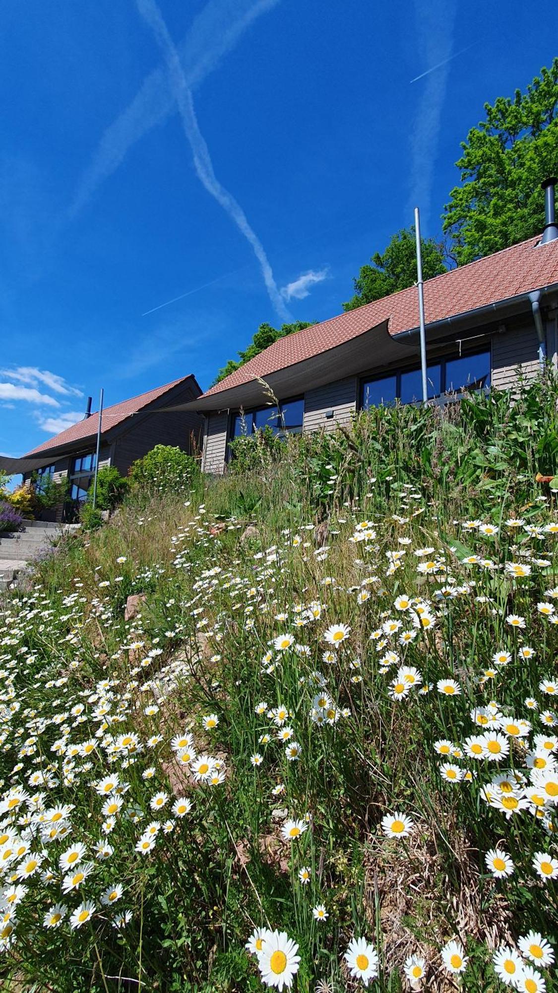 Odenwald-Lodge Mit Infrarotsauna Und E-Ladestation "Haus Purpur" Reichelsheim 外观 照片
